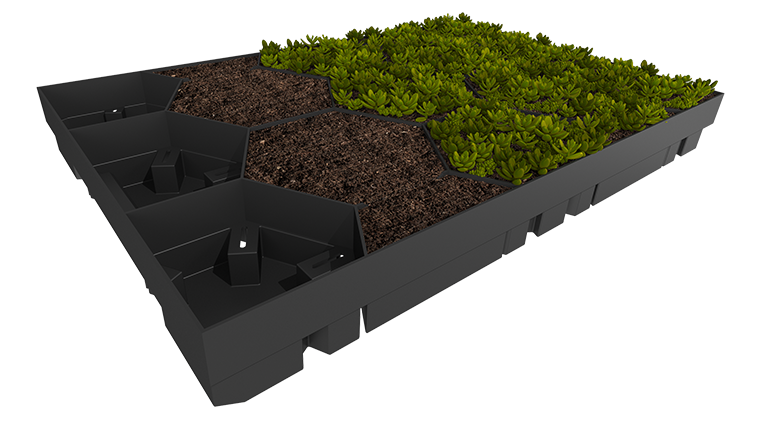 Ecosedum Pack Module