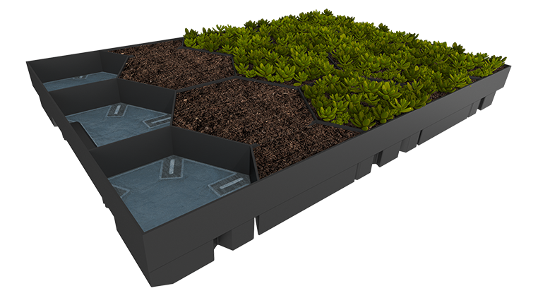 Ecosedum Pack Integrierte Drainage